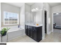 511 Cromer Road Anderson - Photo 23