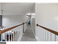 511 Cromer Road Anderson - Photo 29