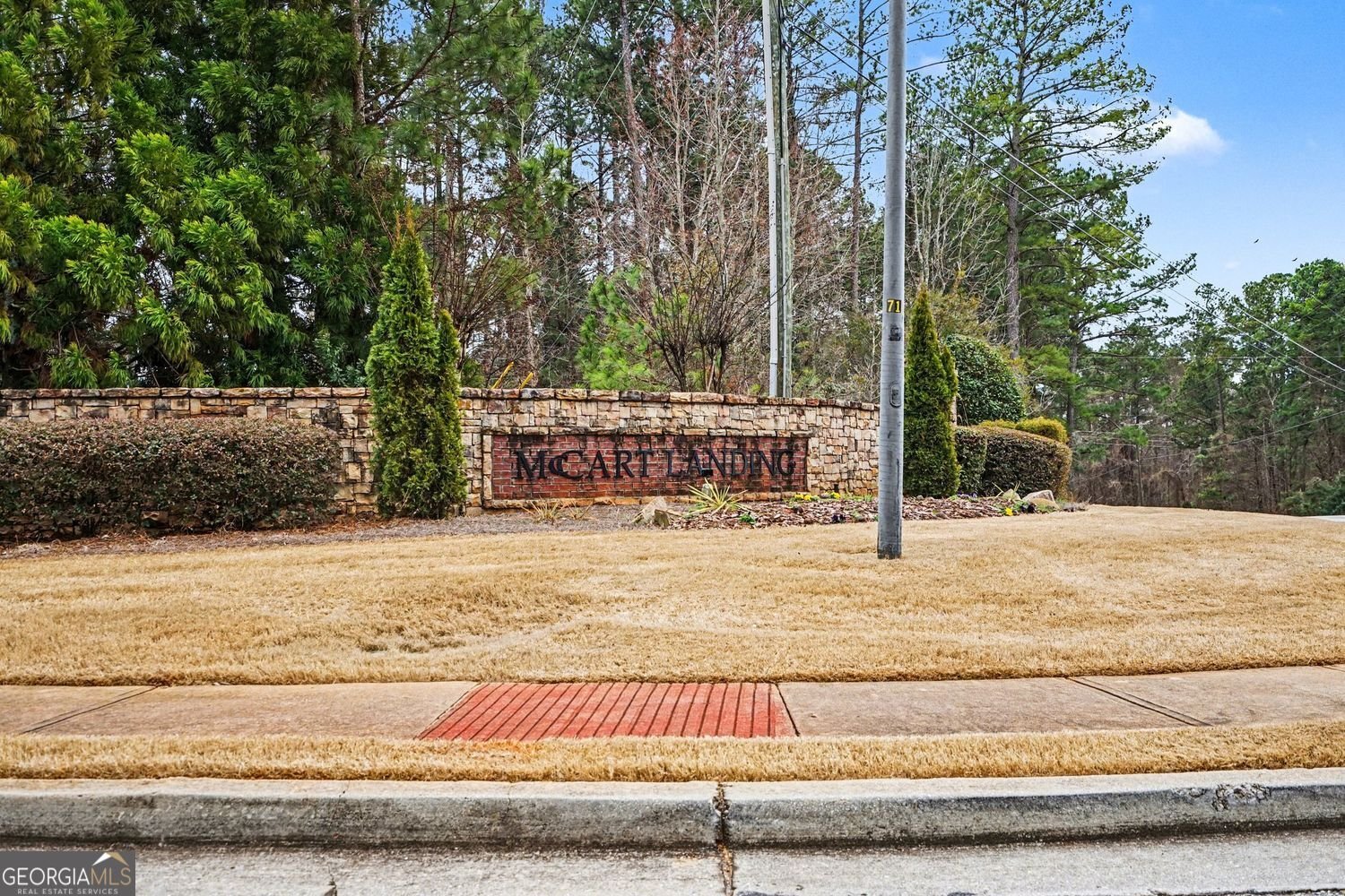 3705 Grand Prix Drive Conyers - Photo 48