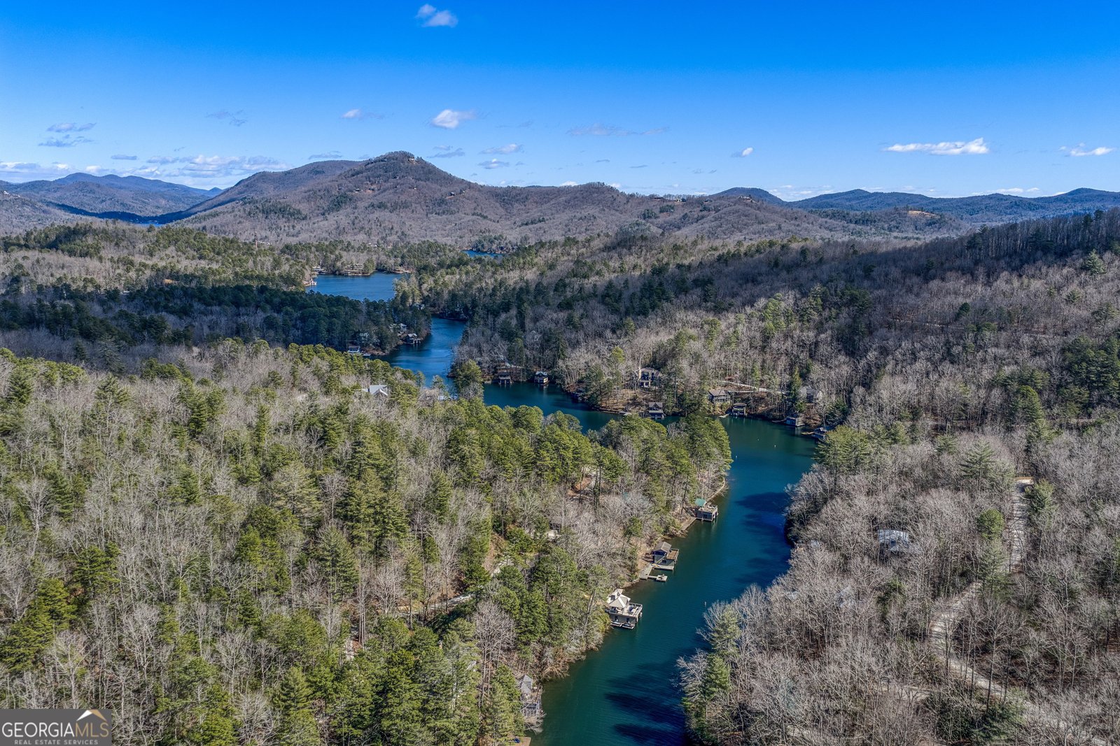 112 Springhill Lane Clarkesville - Photo 76