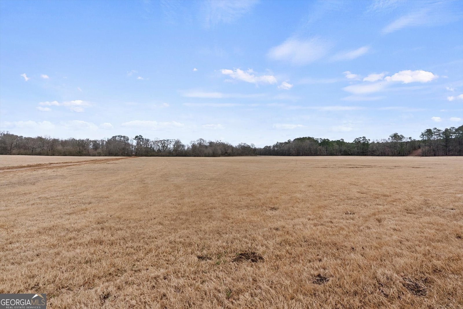 1625A Old Carrolton Road Newnan - Photo 53