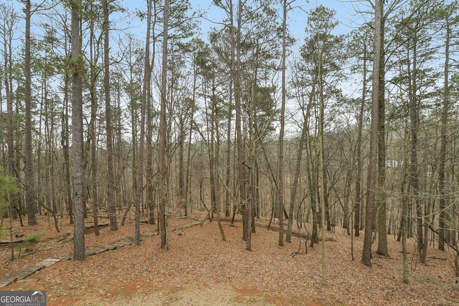 5382 Pine Forest Road Gainesville - Photo 51