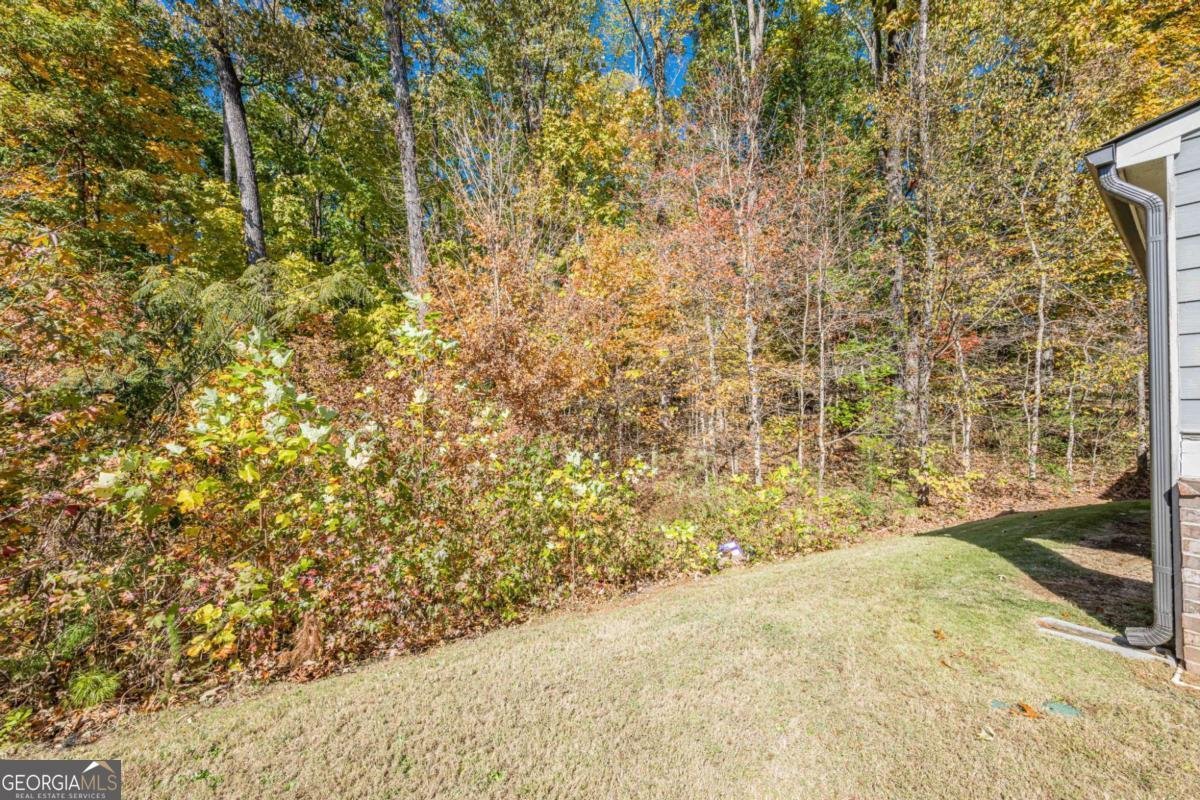 534 Paden Bluff Trail Lawrenceville - Photo 57
