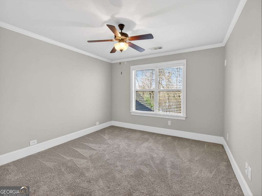 436 Thunder Road Buford - Photo 19