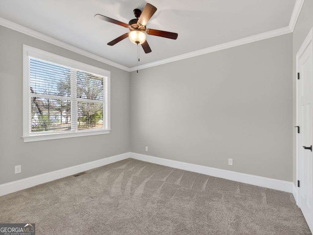 436 Thunder Road Buford - Photo 28