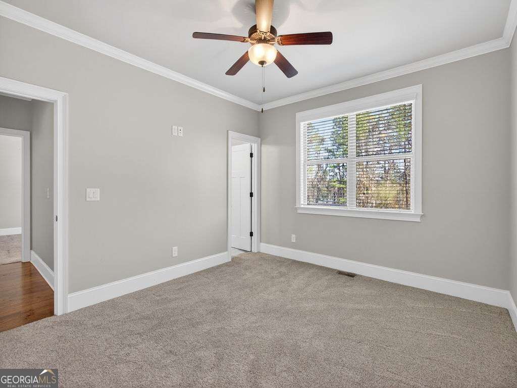 436 Thunder Road Buford - Photo 29