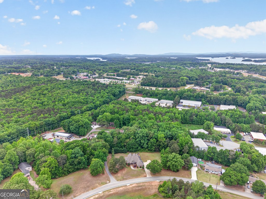 436 Thunder Road Buford - Photo 63