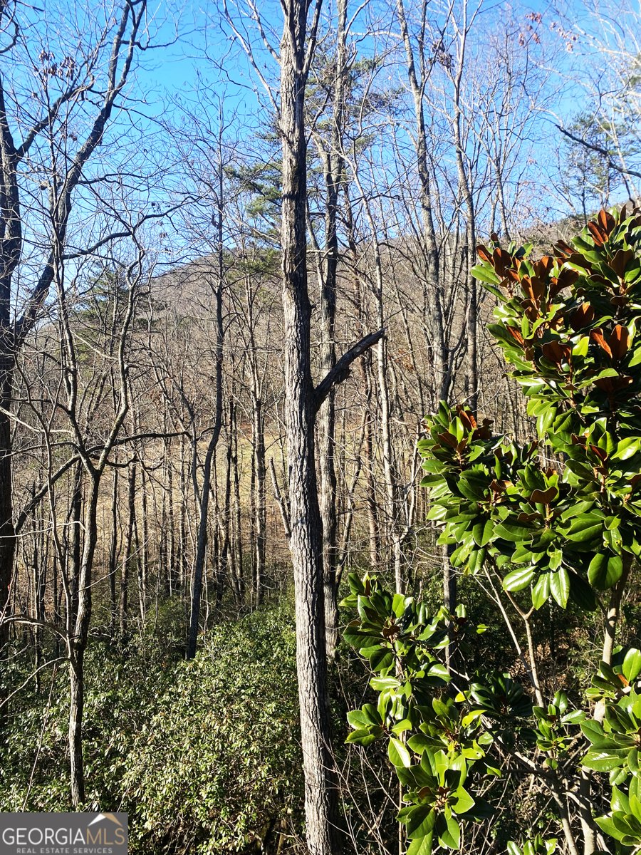 159 Prospect Trail Cleveland - Photo 40