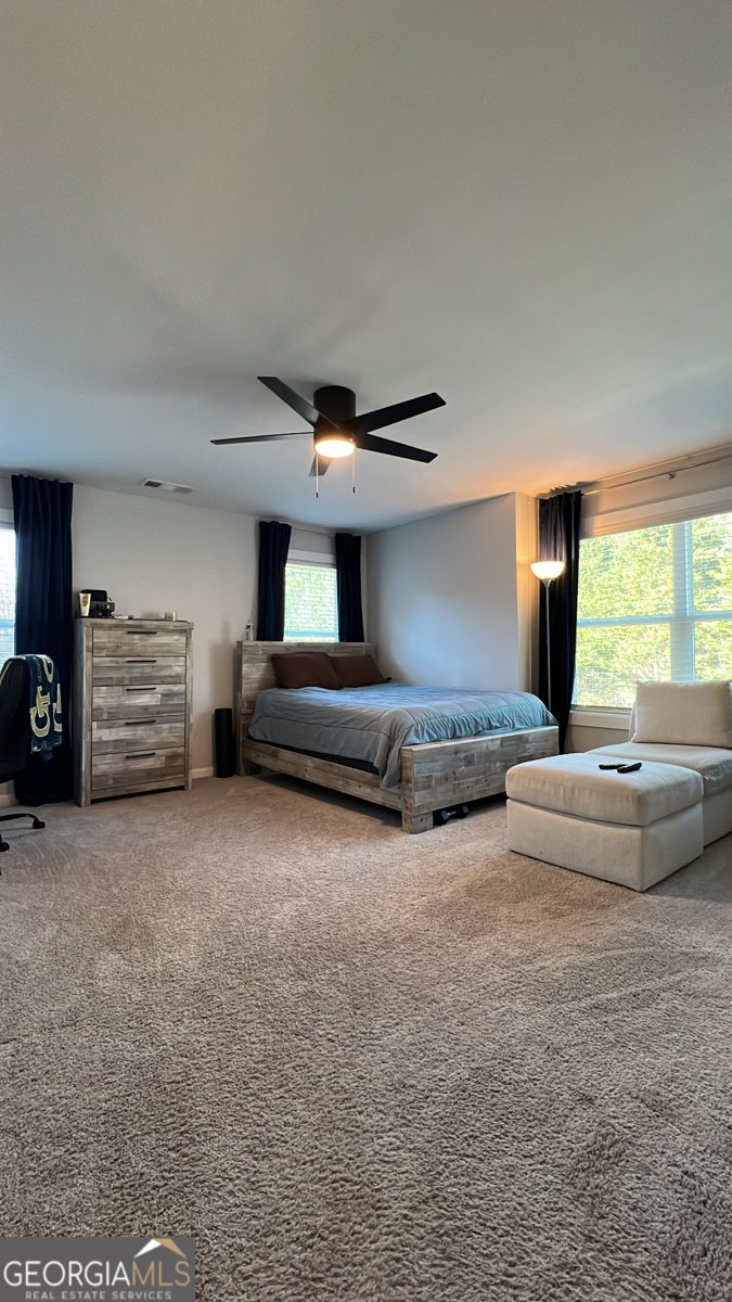 3497 Tiffany Cove Drive Loganville - Photo 33