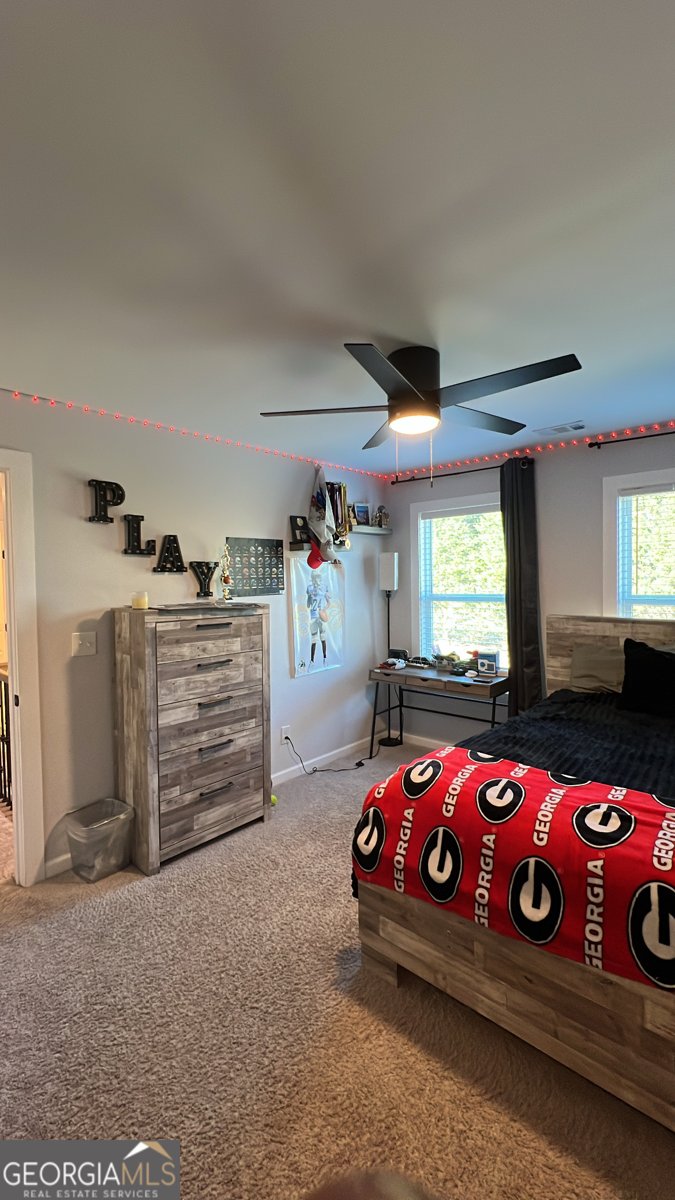 3497 Tiffany Cove Drive Loganville - Photo 34