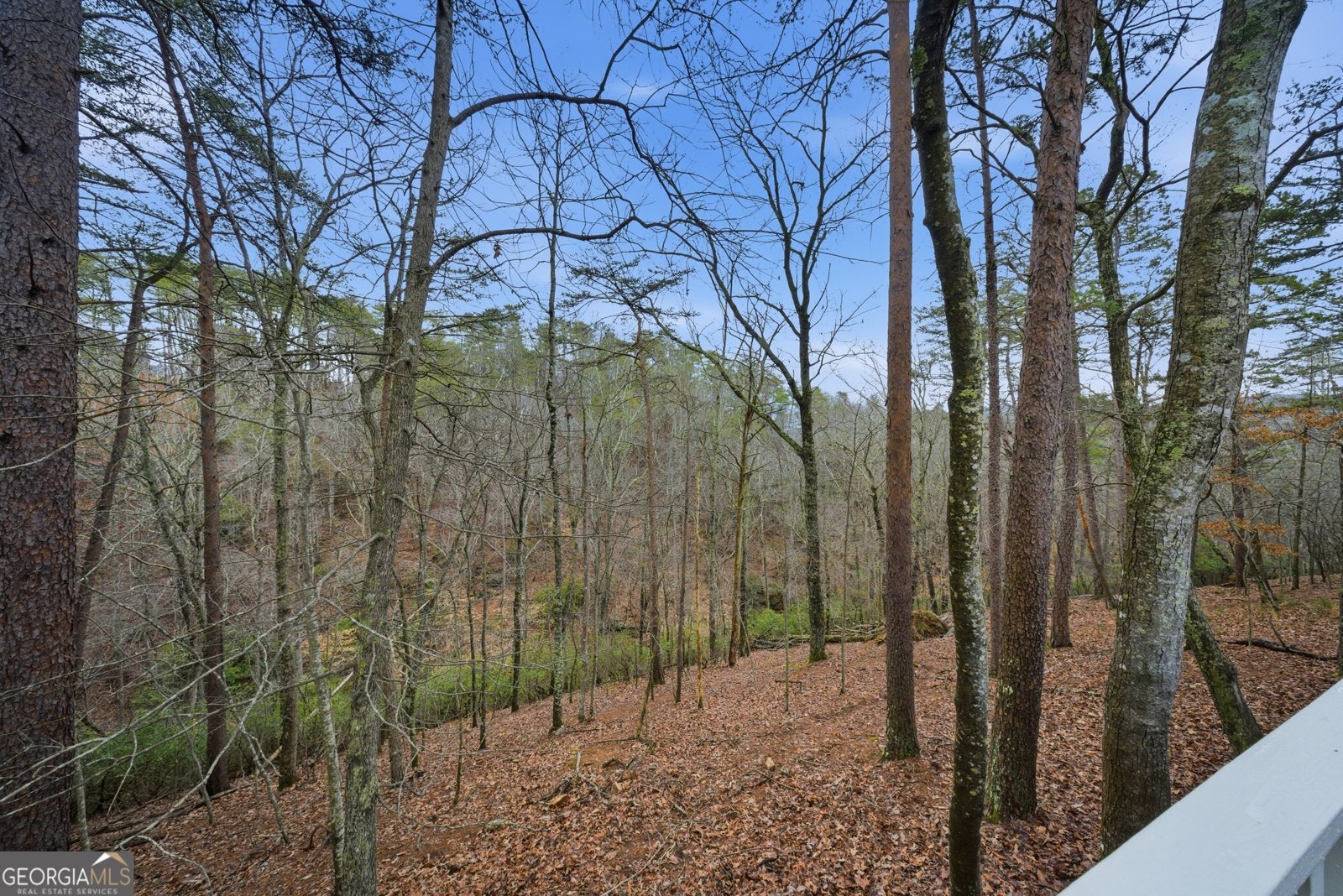 121 White Antelope Street Waleska - Photo 17