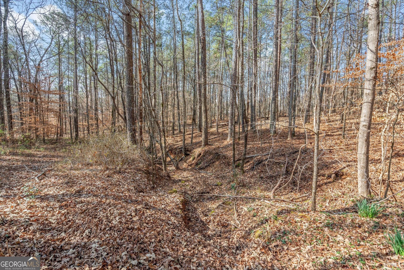 3743 Johnston Road Winston - Photo 55