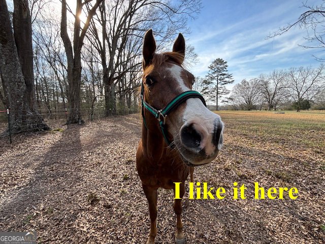 0 Barnett Road Sharon - Photo 26