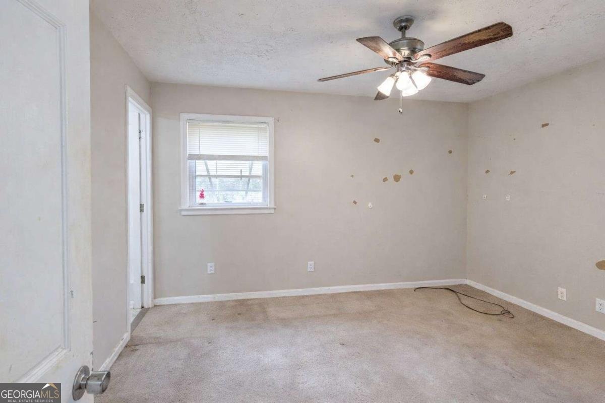 103 Forty Pass Hiram - Photo 10