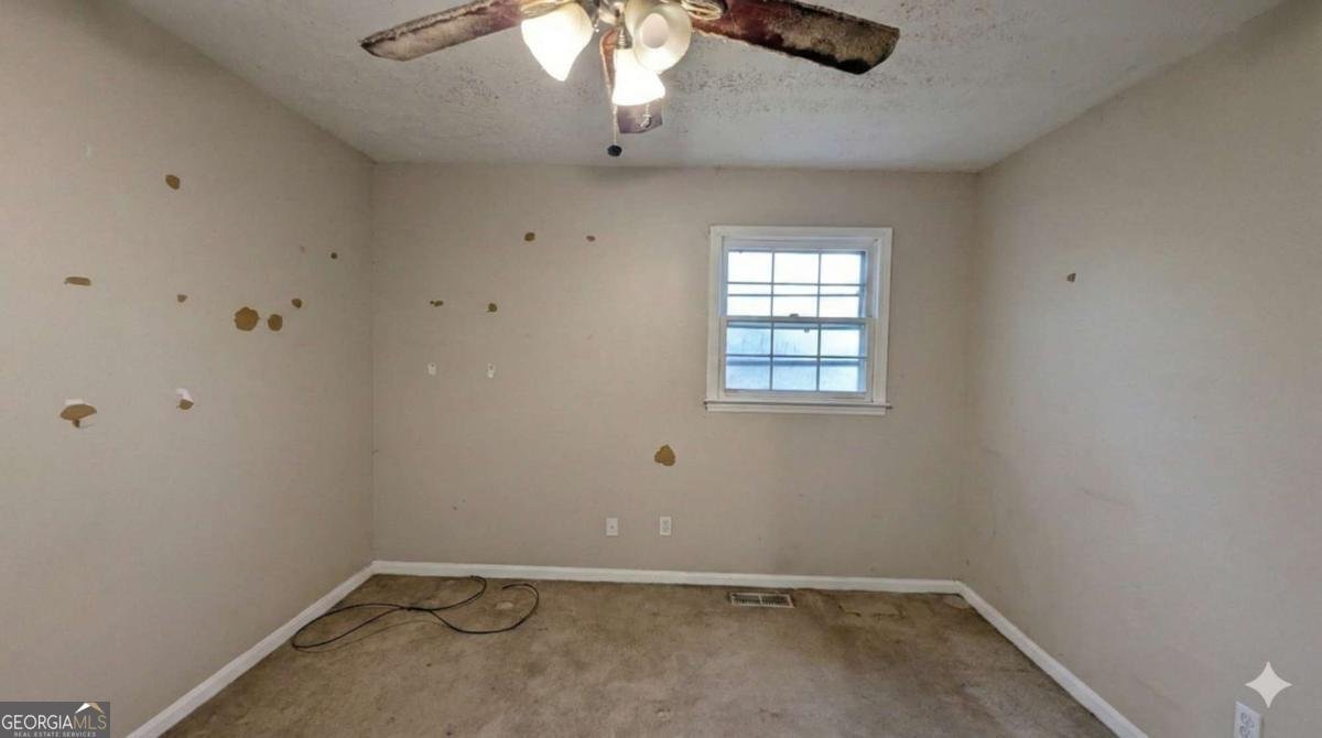 103 Forty Pass Hiram - Photo 11