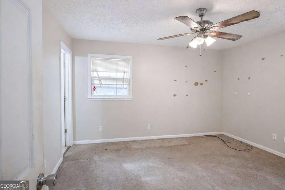 103 Forty Pass Hiram - Photo 12