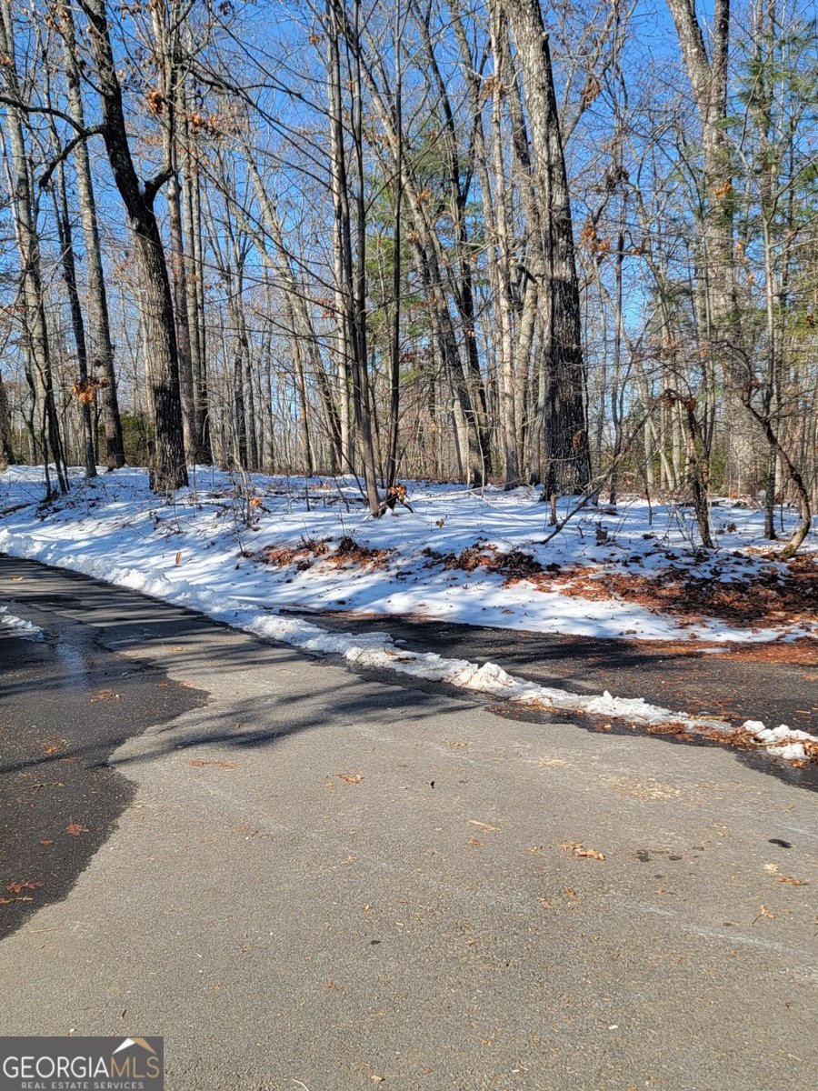 156 Brett Road Cleveland - Photo 30