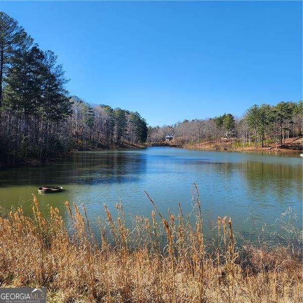 0 Lecroy Drive Ellijay - Photo 12