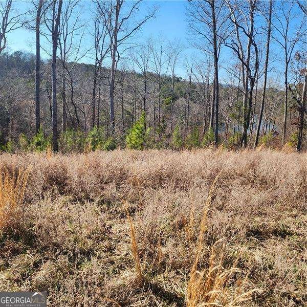 0 Lecroy Drive Ellijay - Photo 7