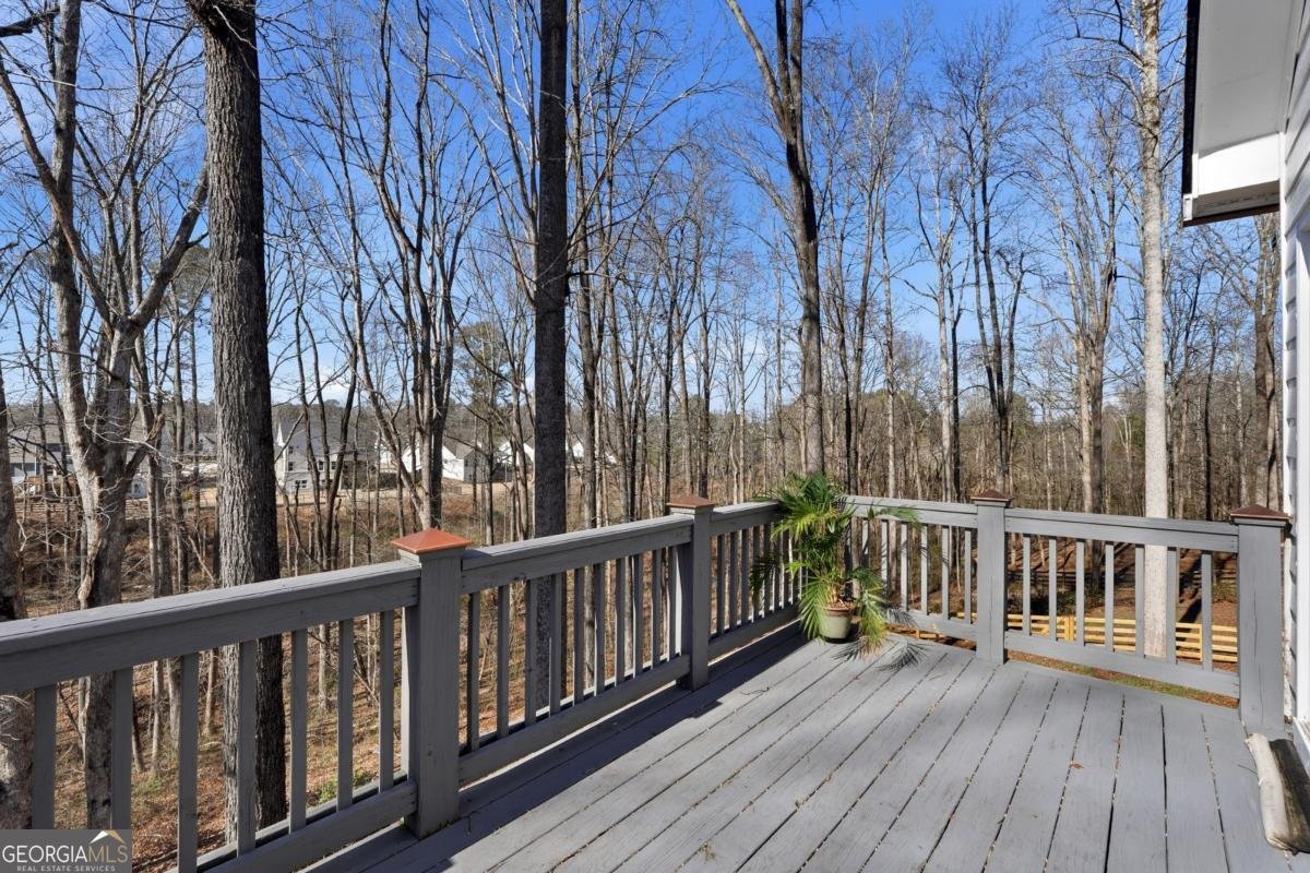 7820 Silver Creek Road Dawsonville - Photo 133