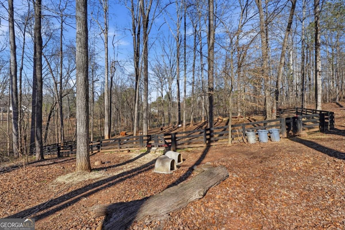 7820 Silver Creek Road Dawsonville - Photo 139