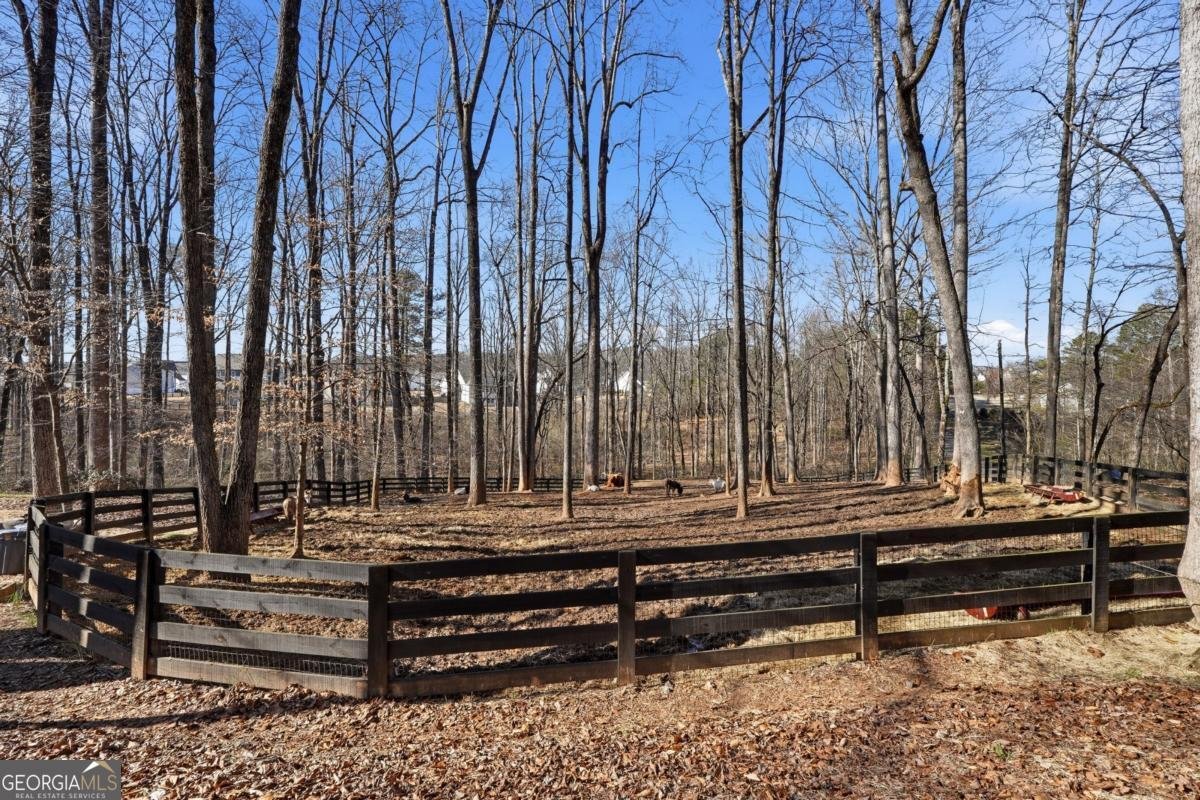 7820 Silver Creek Road Dawsonville - Photo 141