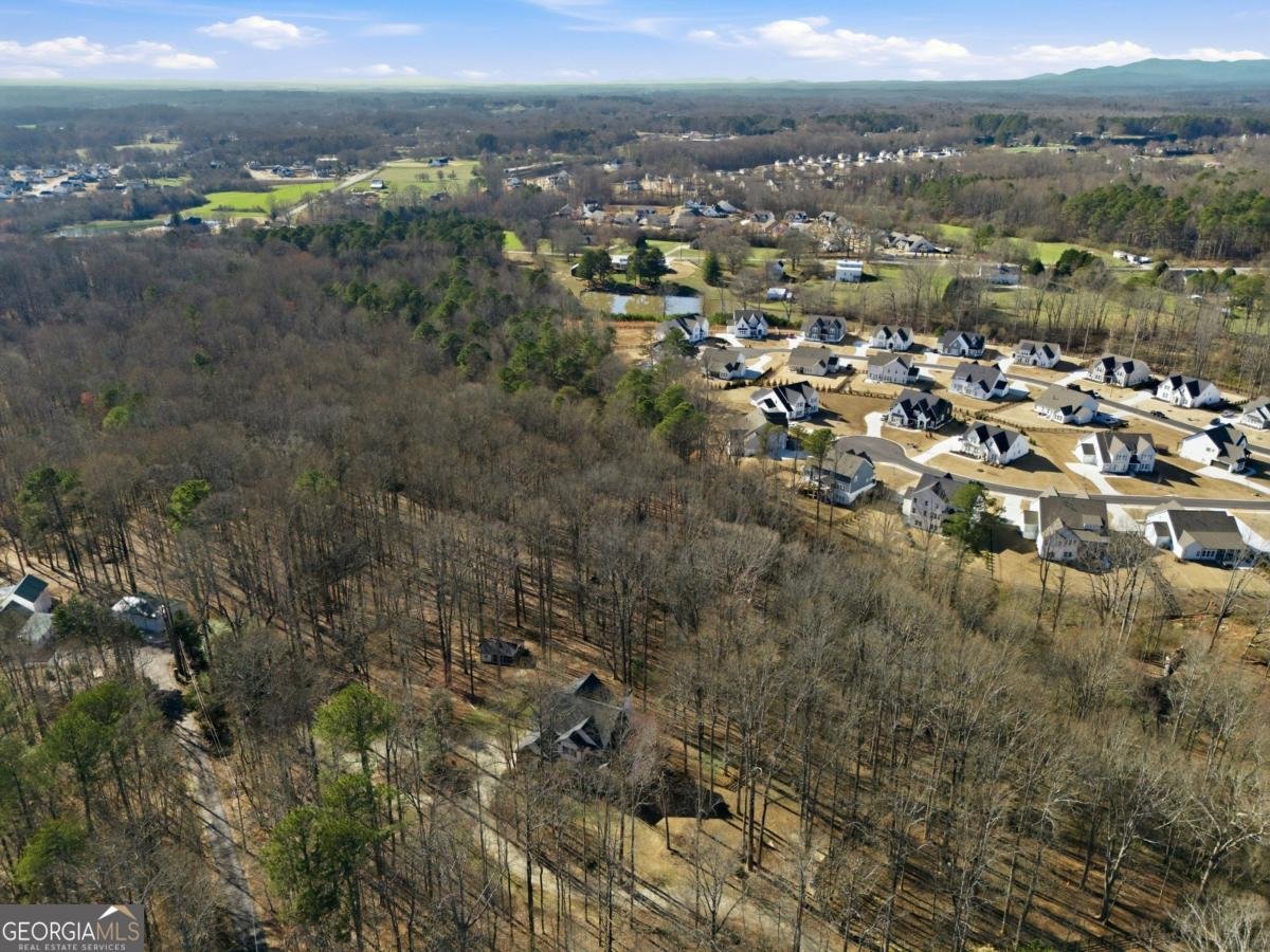 7820 Silver Creek Road Dawsonville - Photo 147