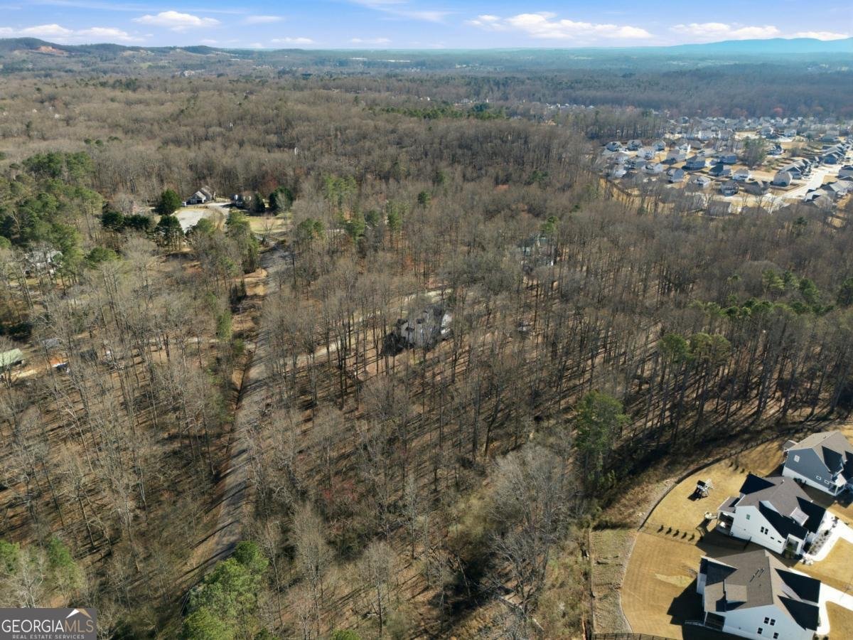 7820 Silver Creek Road Dawsonville - Photo 149