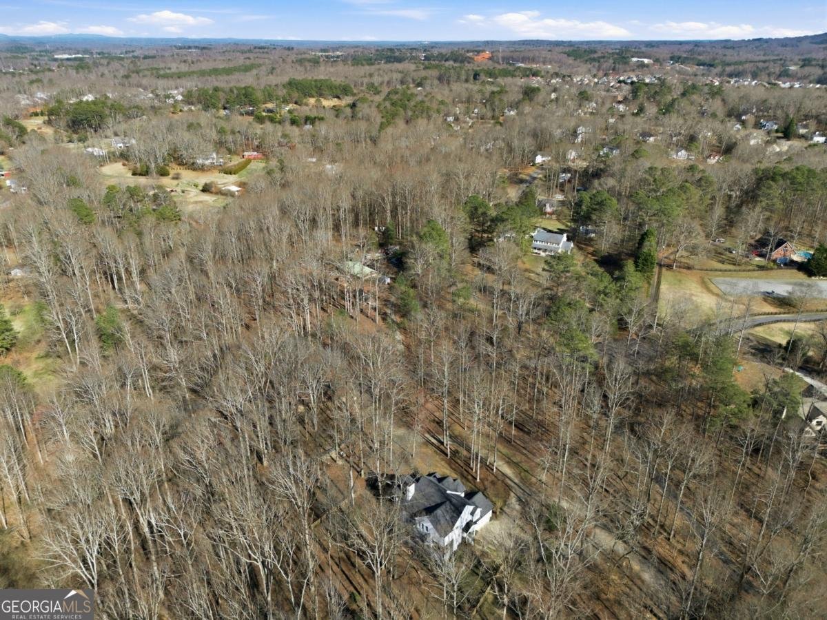 7820 Silver Creek Road Dawsonville - Photo 151