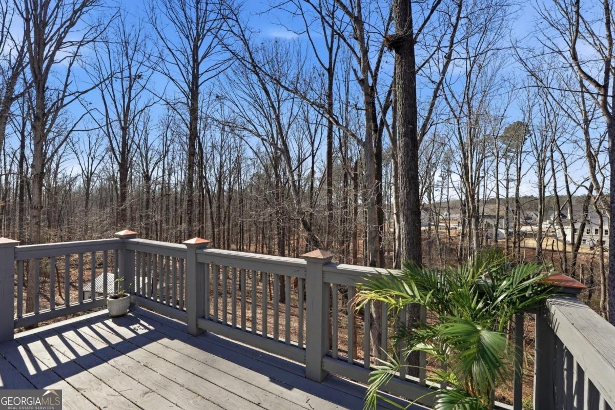 7820 Silver Creek Road Dawsonville - Photo 54