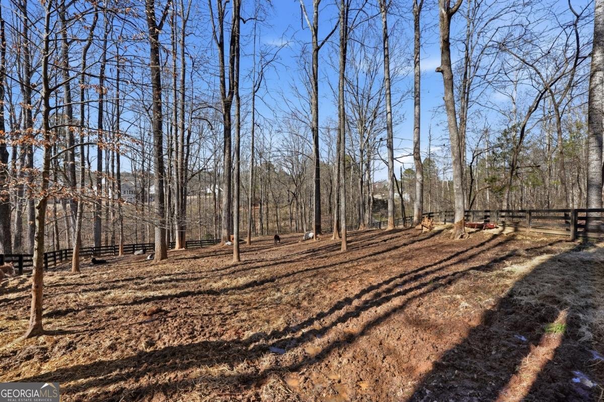 7820 Silver Creek Road Dawsonville - Photo 62