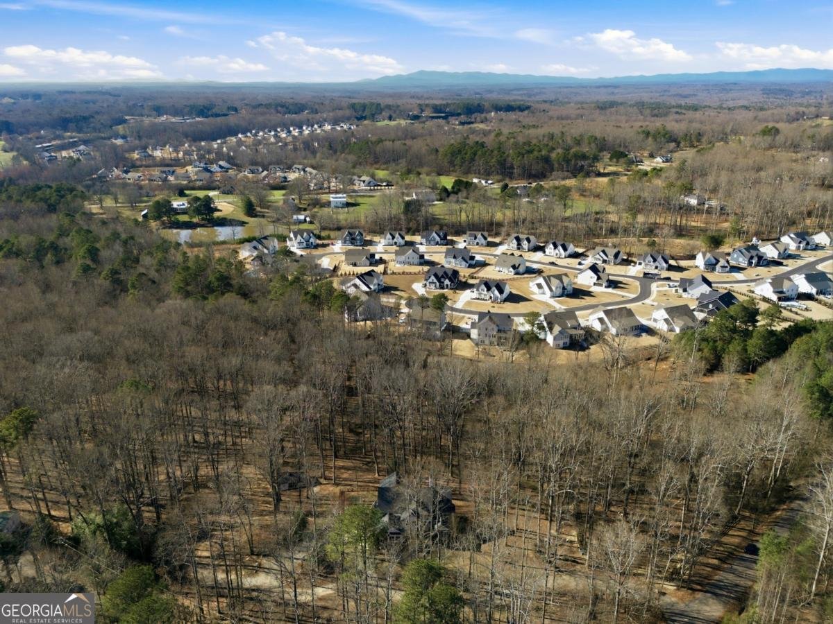 7820 Silver Creek Road Dawsonville - Photo 68