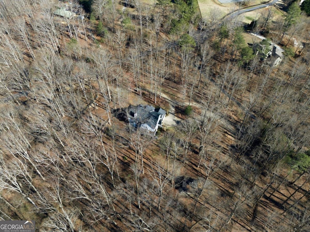 7820 Silver Creek Road Dawsonville - Photo 72