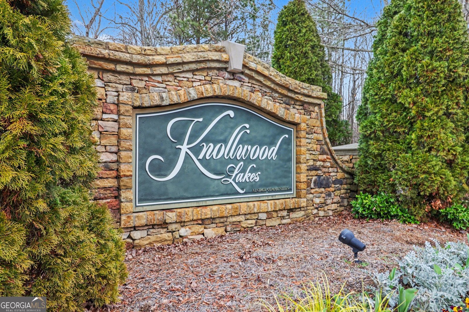 1239 Wood Iris Lane Lawrenceville - Photo 38