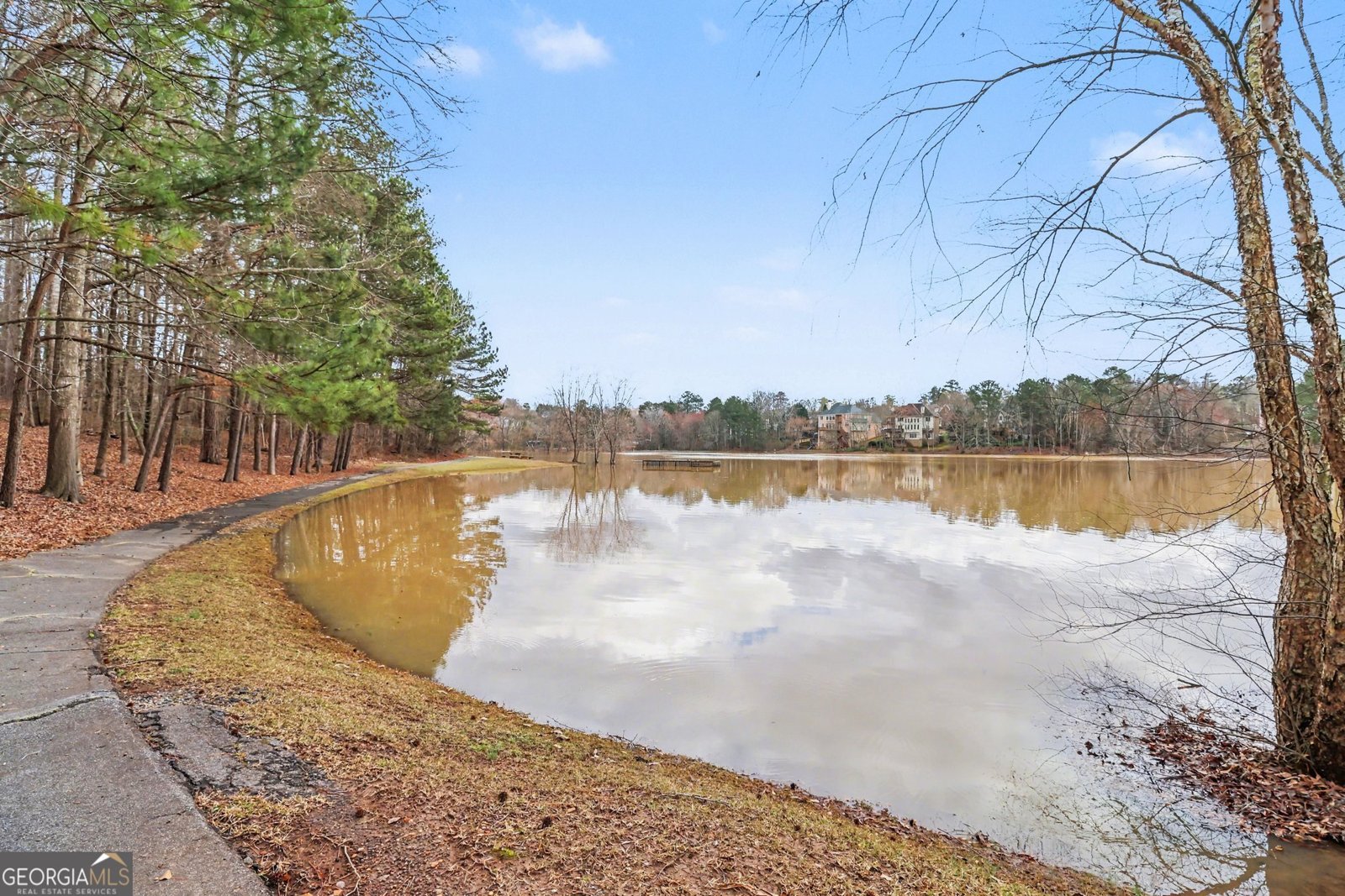 1239 Wood Iris Lane Lawrenceville - Photo 43