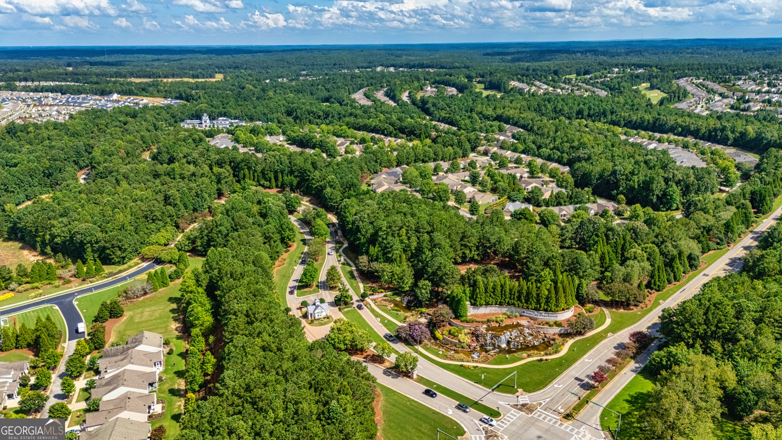 901 Coffee Berry Court Griffin - Photo 38