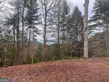 44 Bettis Circle Ellijay - Photo 12