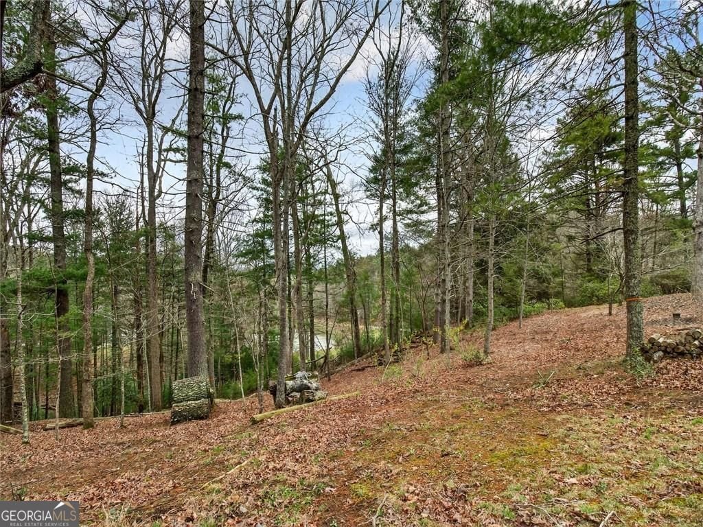 44 Bettis Circle Ellijay - Photo 55