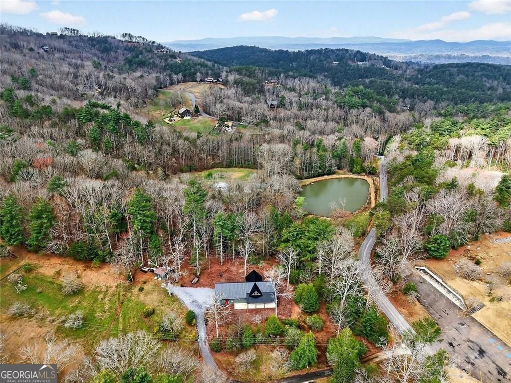 44 Bettis Circle Ellijay - Photo 66