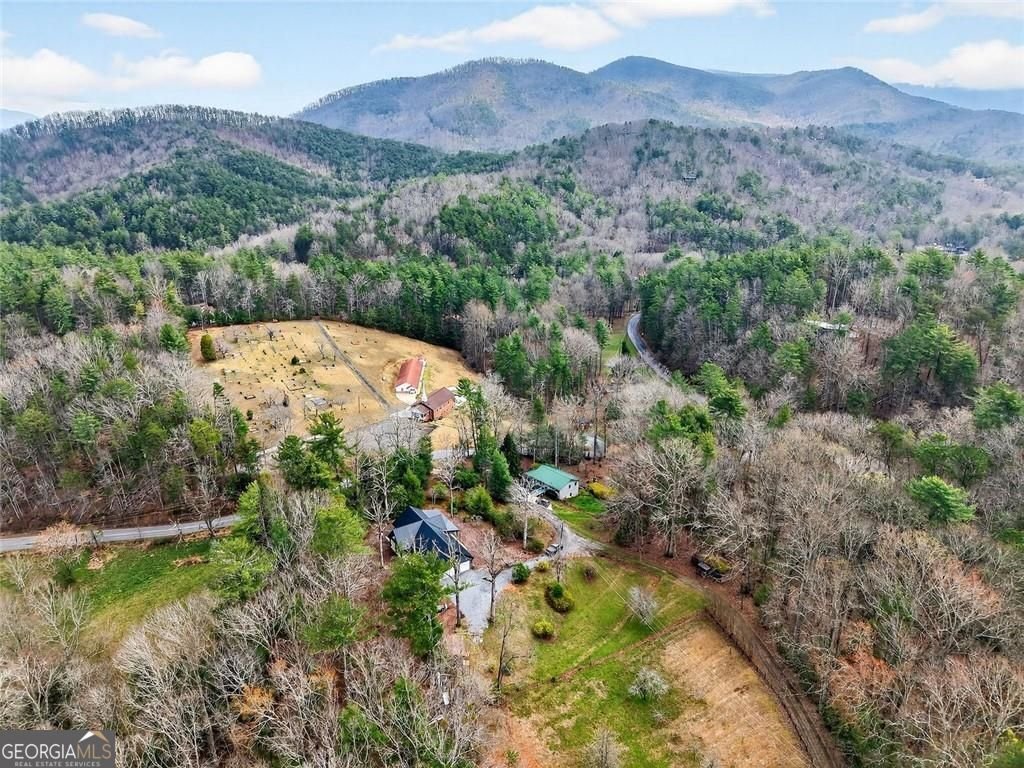 44 Bettis Circle Ellijay - Photo 67