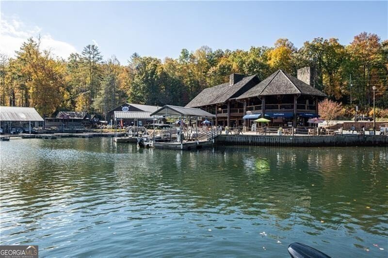 130 Cove View Lane Clarkesville - Photo 11