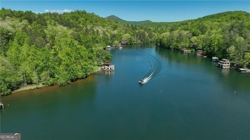 130 Cove View Lane Clarkesville - Photo 12