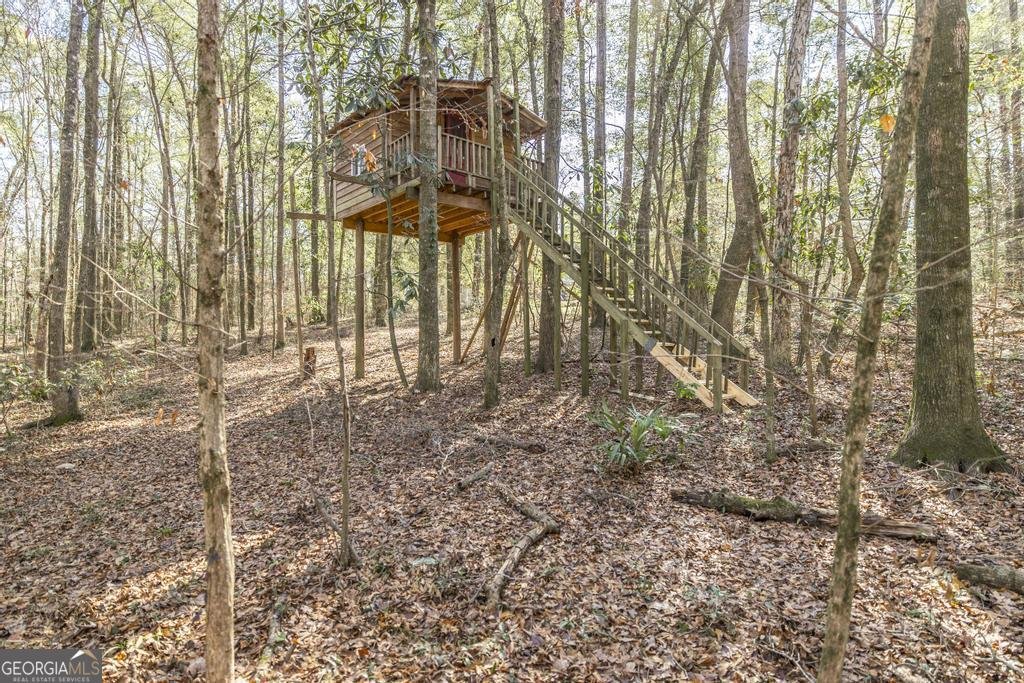 1751 Ga Highway 247 Kathleen - Photo 50