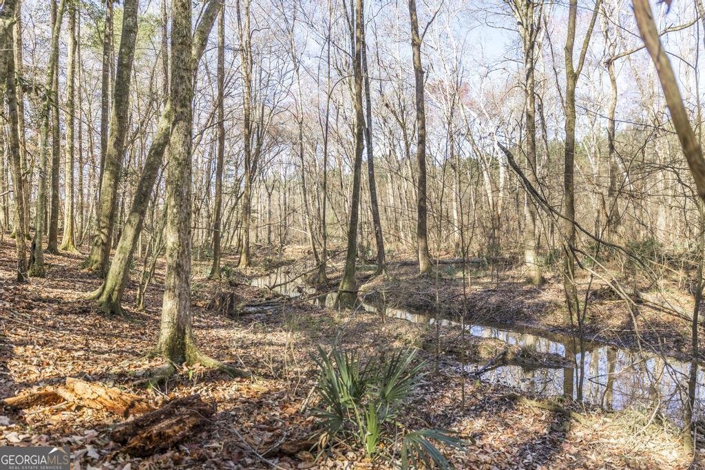 1751 Ga Highway 247 Kathleen - Photo 52