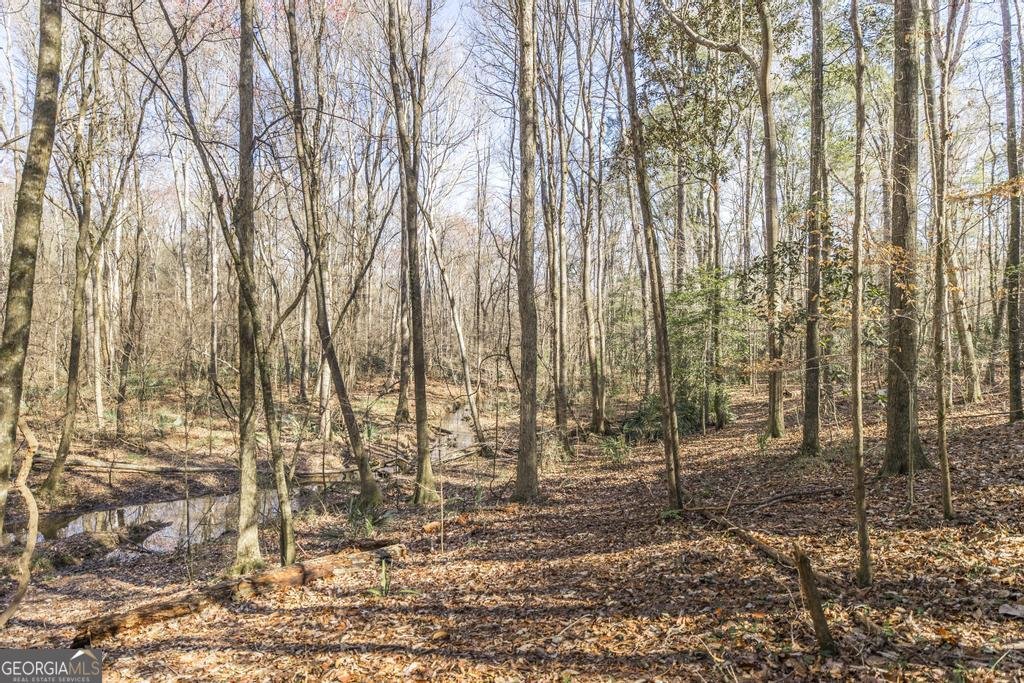 1751 Ga Highway 247 Kathleen - Photo 53