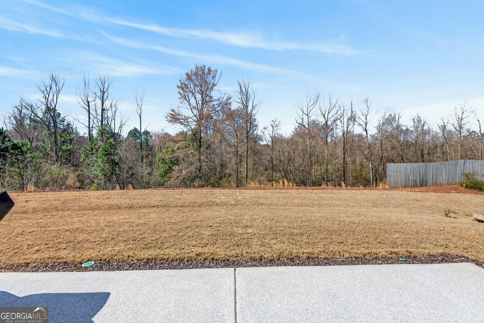 563 Hornbeam Drive Griffin - Photo 29