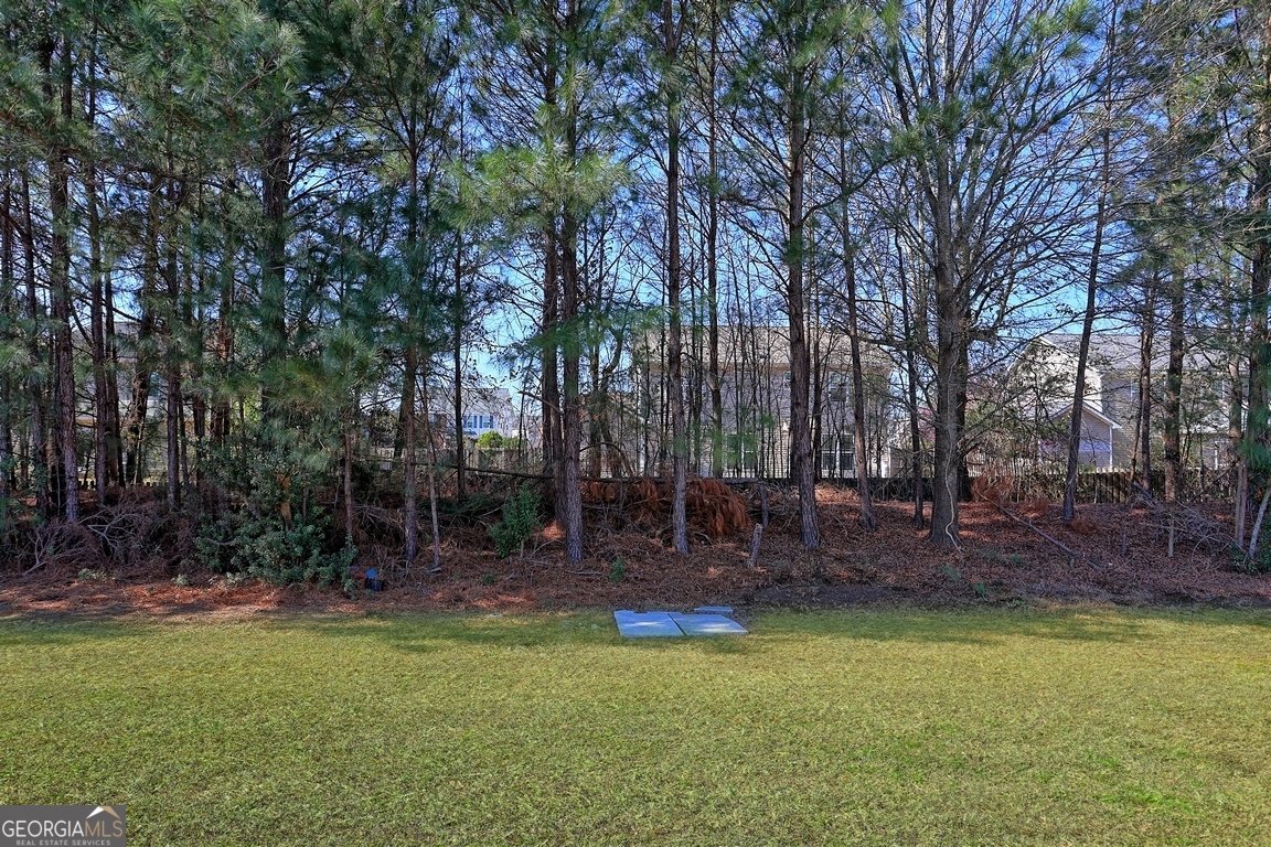 158 Willow Point Circle Savannah - Photo 22