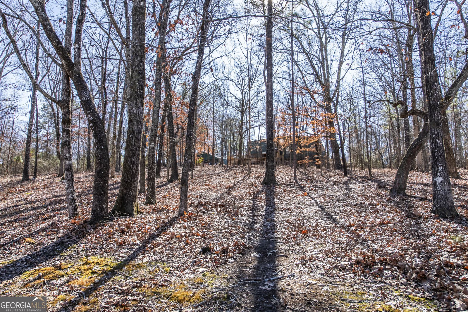 200 Heath Road Carrollton - Photo 33