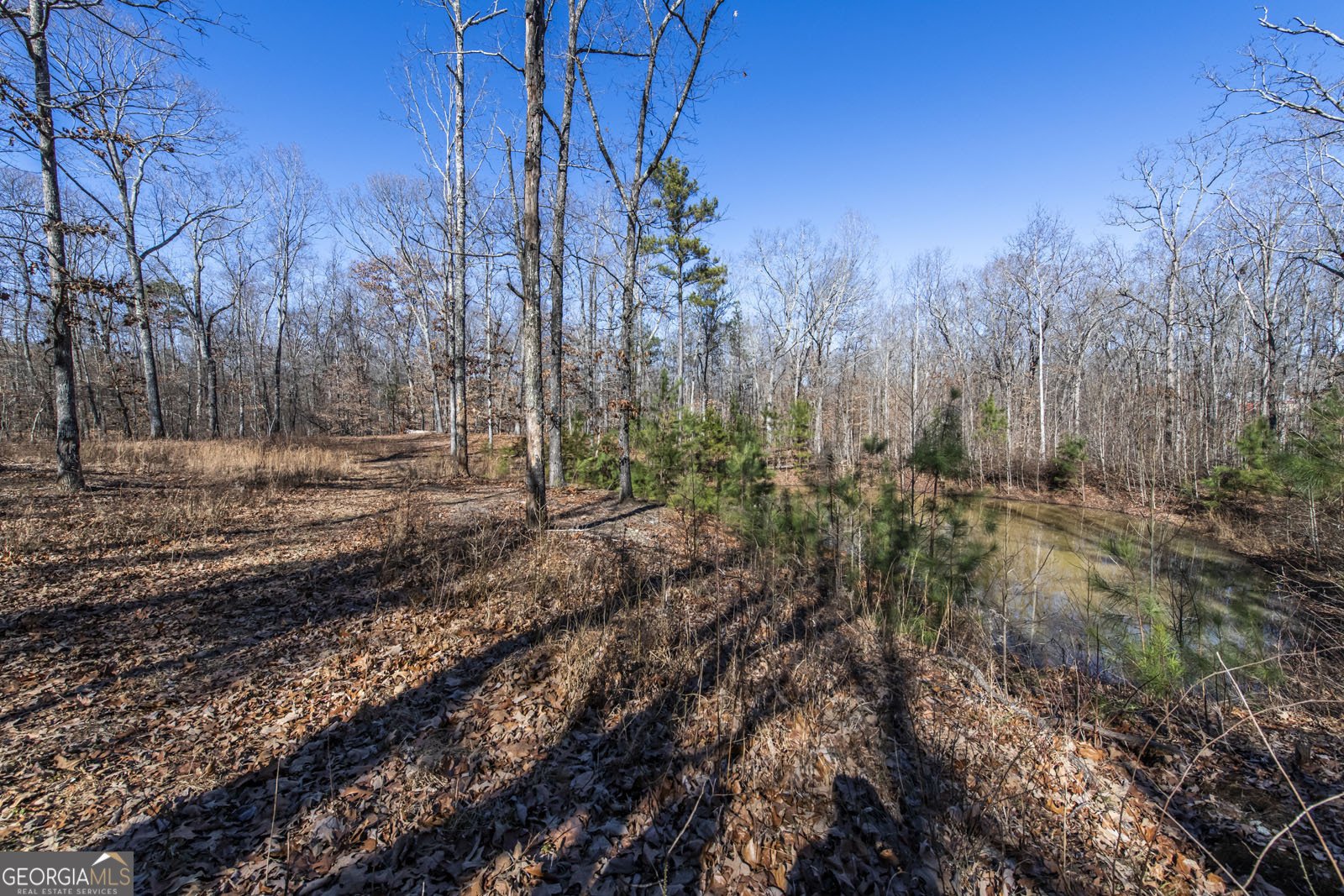 200 Heath Road Carrollton - Photo 34