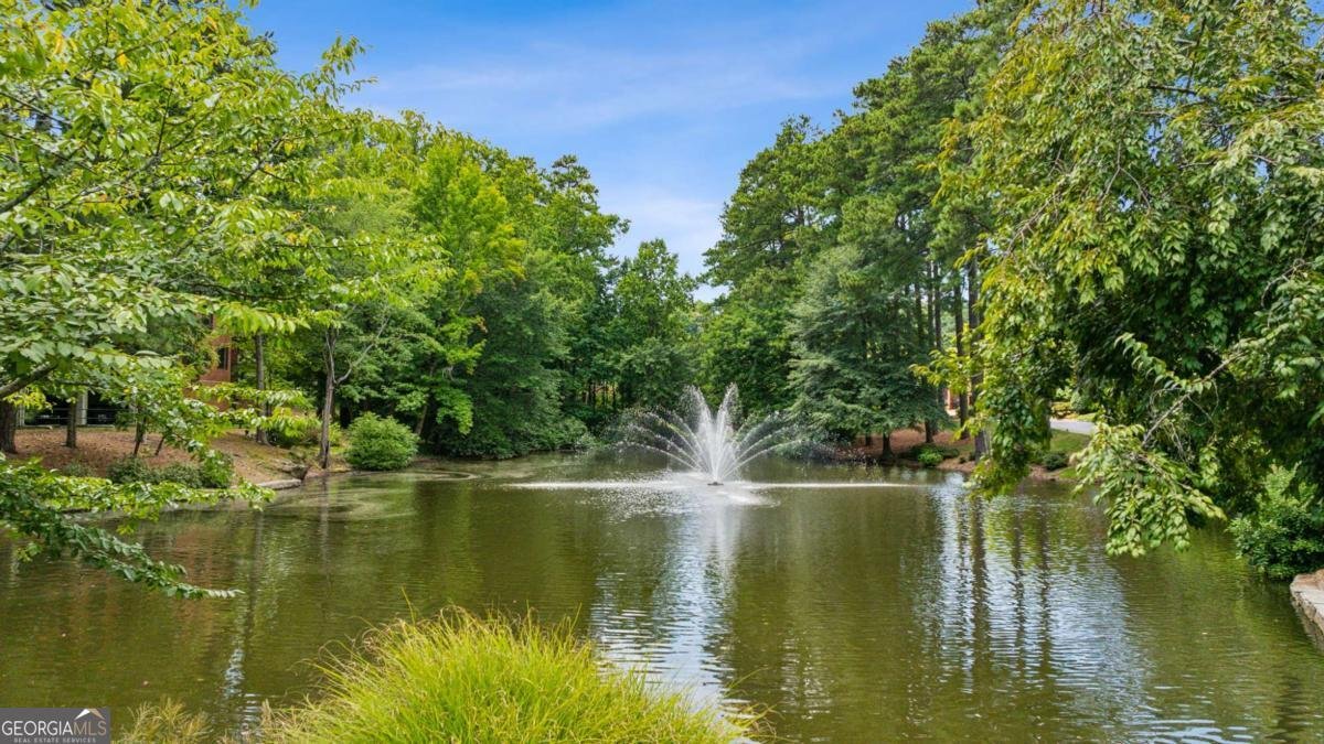 28206 Plantation Drive Atlanta - Photo 20